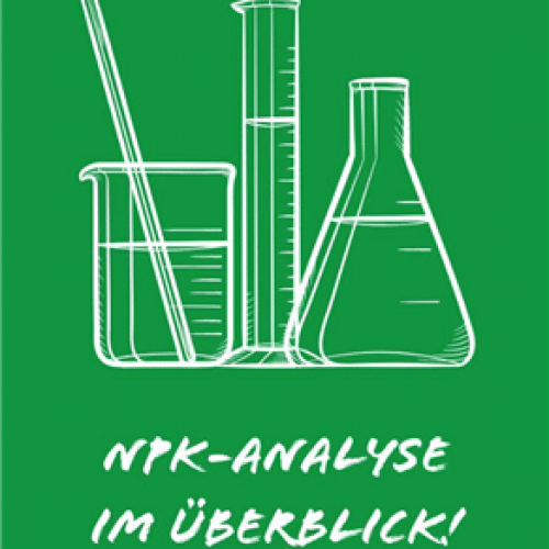 NPK-Analyse Website (Custom)